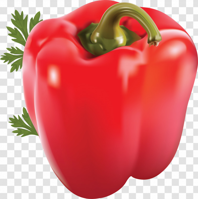 Natural Foods Bell Pepper Pimiento Red Bell Pepper Vegetable Transparent PNG