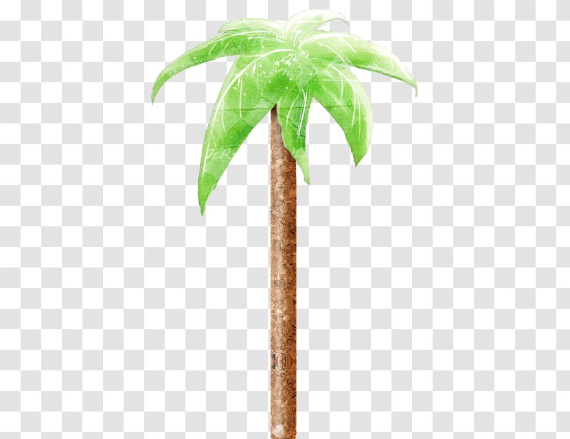 Coconut Palm Trees Flowerpot Date Plants - Tree Transparent PNG