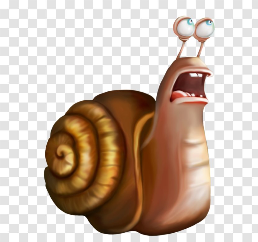 Snail Cartoon Orthogastropoda - Flower Transparent PNG