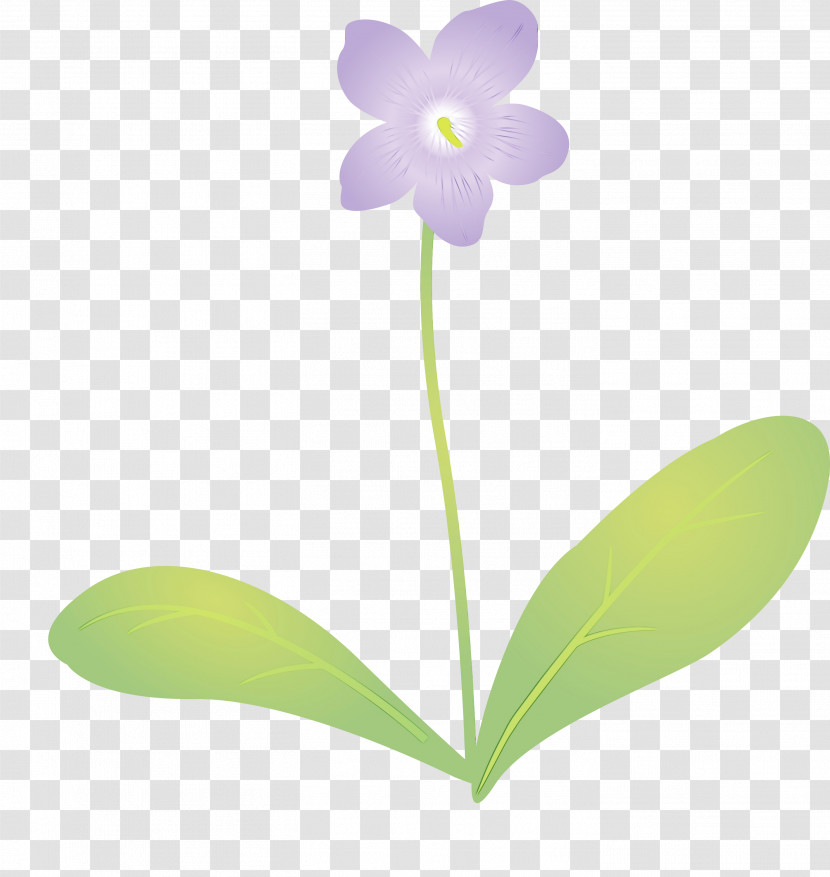 Plant Stem Flower Moth Orchids Petal Flora Transparent PNG
