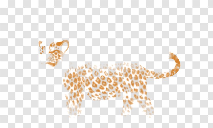 Leopard Felidae Lion Cheetah Giraffe - Big Cats Transparent PNG