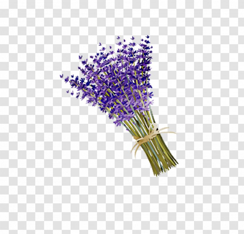Lavender - Buddleia - Cut Flowers Transparent PNG