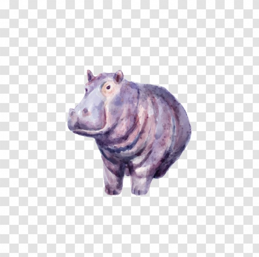 Hippopotamus Drawing - Hand-painted Hippo Transparent PNG
