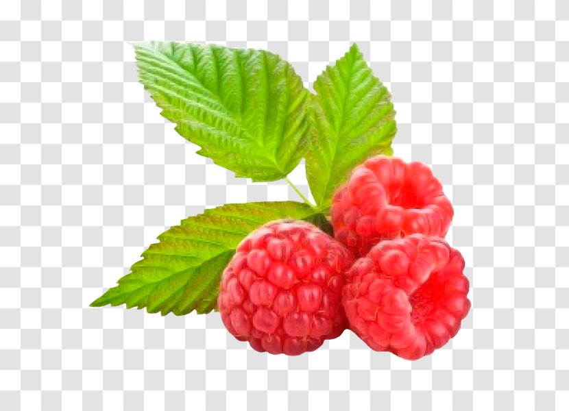 Organic Food Red Raspberry Juice - Cloudberry Transparent PNG