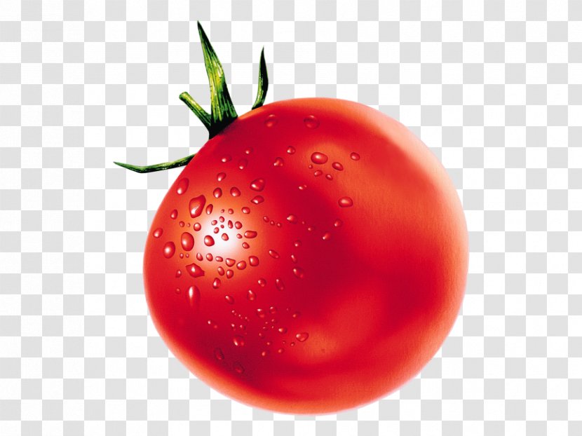 Tomato Soup Juice Plum Vegetable - Apple Transparent PNG