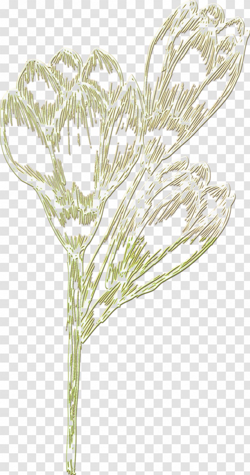Tree Twig Plant Stem Leaf /m/02csf - Flowering Transparent PNG