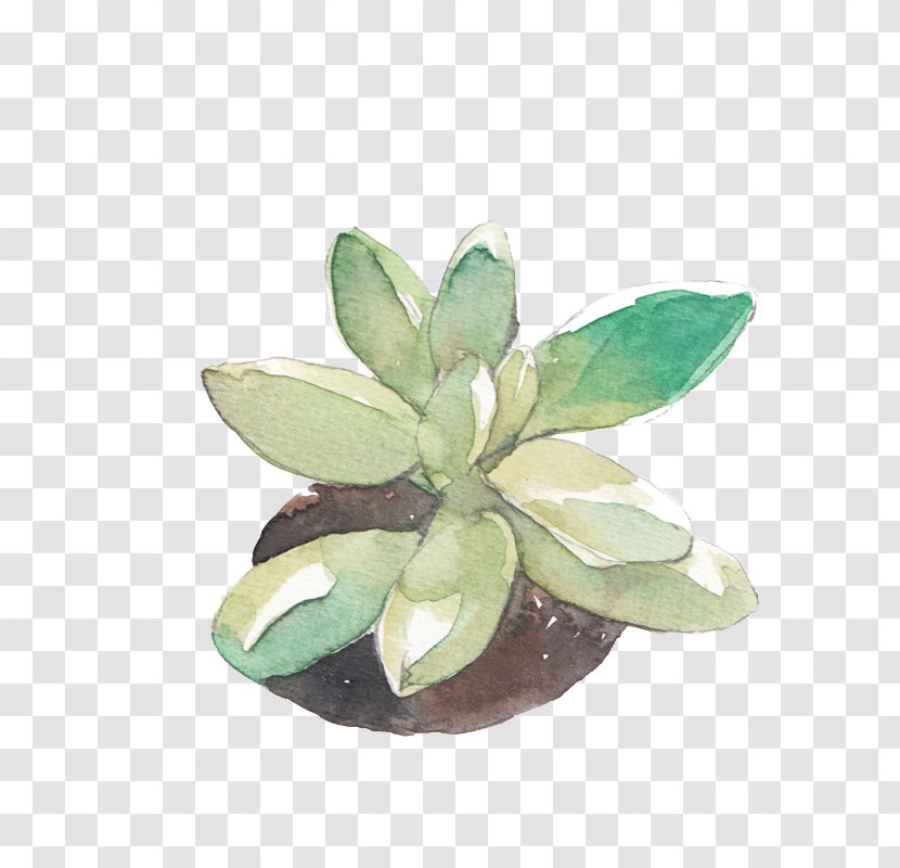 Watercolour Flowers Watercolor: Watercolor Painting Drawing - Fleshy Baby Transparent PNG