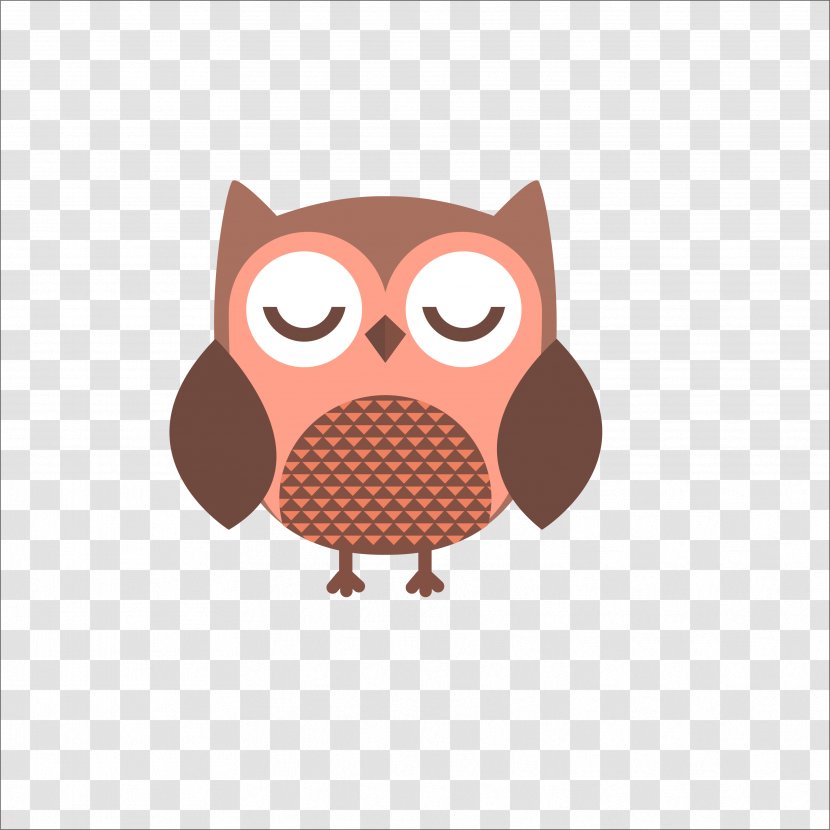 Owl Bird - Flat Transparent PNG