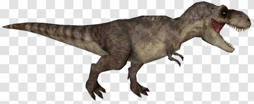 Tyrannosaurus Tarbosaurus Mononykus Velociraptor Dinosaur - T-rex Transparent PNG