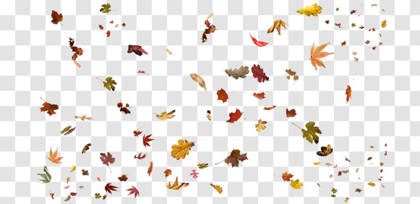 Leaf DeviantArt Clip Art - Invertebrate Transparent PNG