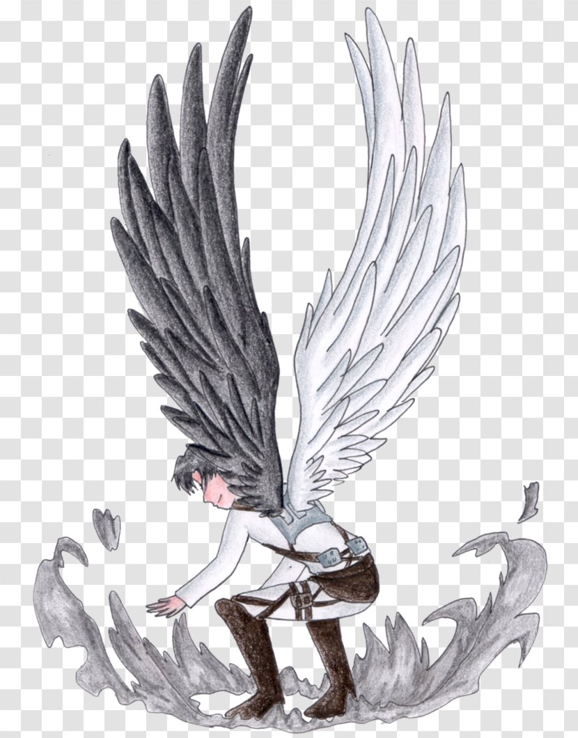 Drawing Counting Stars Feather Bird - Frame - Wings Of Freedom Transparent PNG