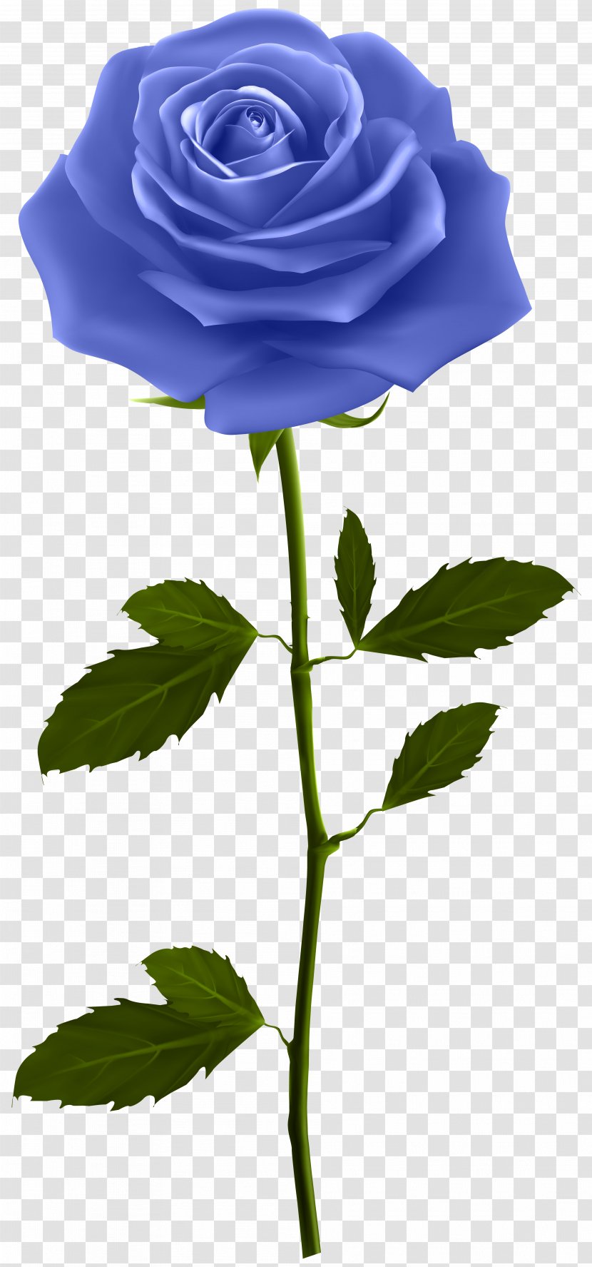 Rose Flower Clip Art - Purple - Blue With Stem Image Transparent PNG