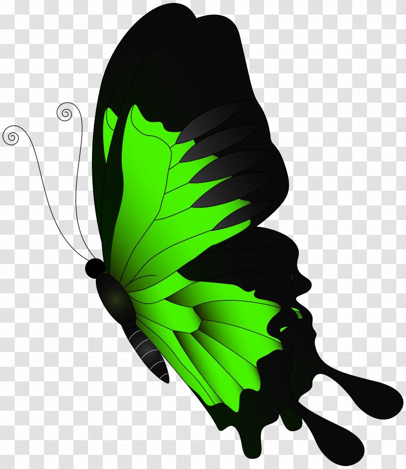Butterfly Green Clip Art - Arthropod - Flying Transparent PNG
