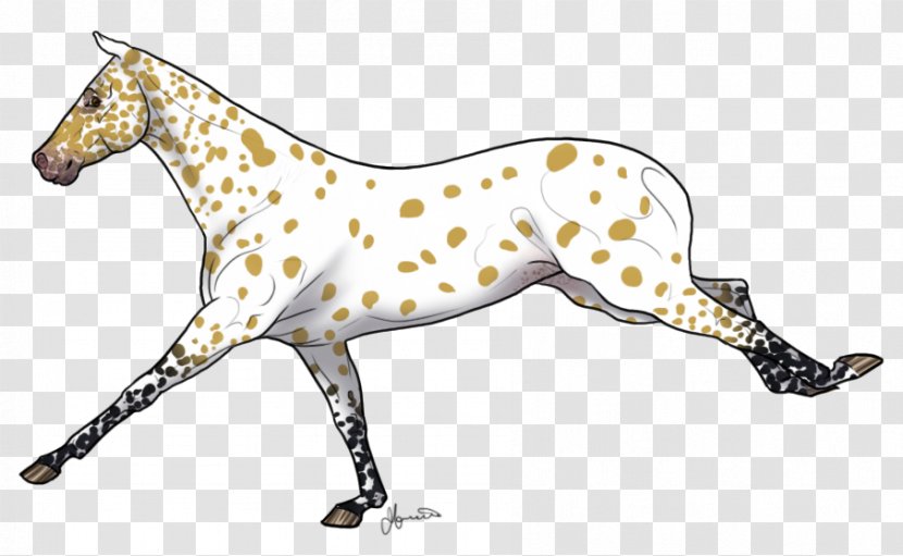 Dog Breed Italian Greyhound Mustang Non-sporting Group - Mane - Horse Blanket Pattern Transparent PNG