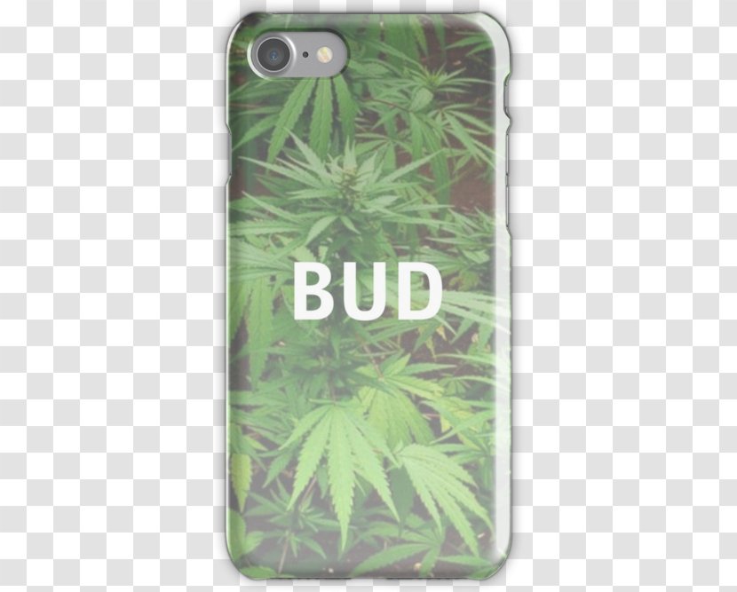 IPhone 6 Plus 4S 7 - Iphone 5s - Cannabis Transparent PNG
