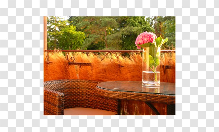 Interior Design Services Property Chair Garden Furniture Flower - Plant - Wooden Trug Transparent PNG