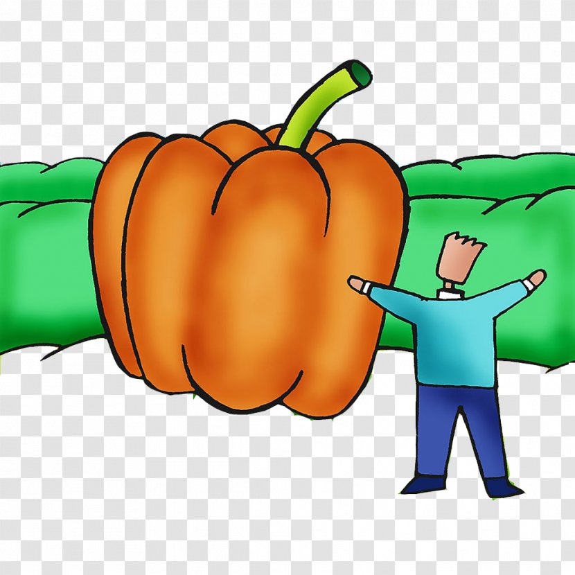 Autumn Harvest - Calabaza - Material Transparent PNG