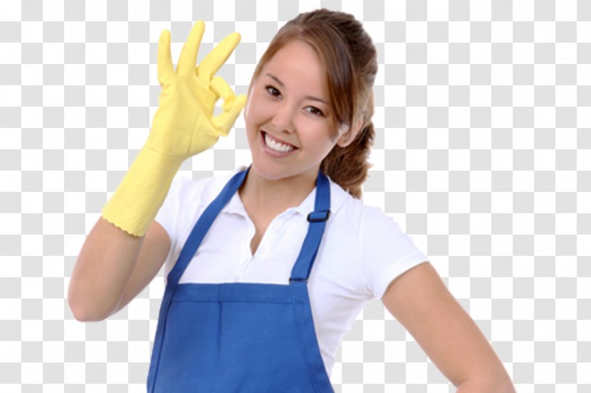 Maid Service Cleaner Commercial Cleaning - Flower - Window Transparent PNG