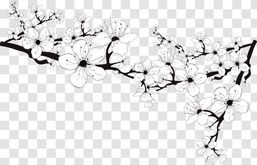 White Flower Color Black Floral Design - Header Word Transparent PNG