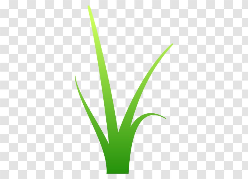 Leaf Grasses Plant Stem Line Font - Grass Transparent PNG