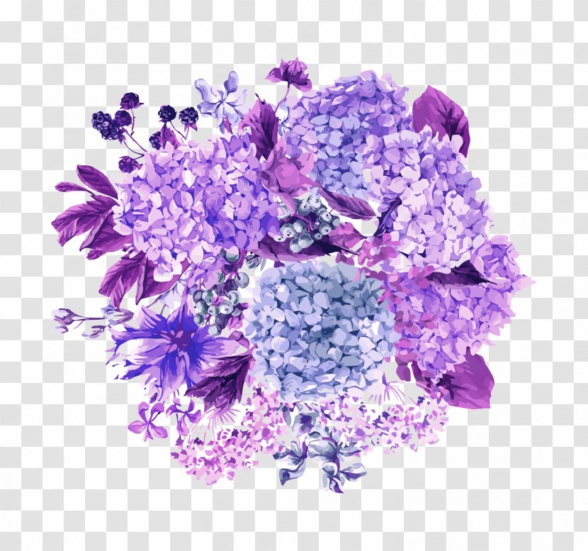 Vector Hydrangea - Flower Garden Transparent PNG