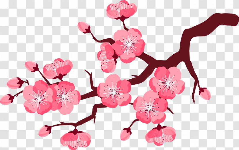 Cherry Blossom Flower Clip Art - Silhouette - Pink Plum Transparent PNG