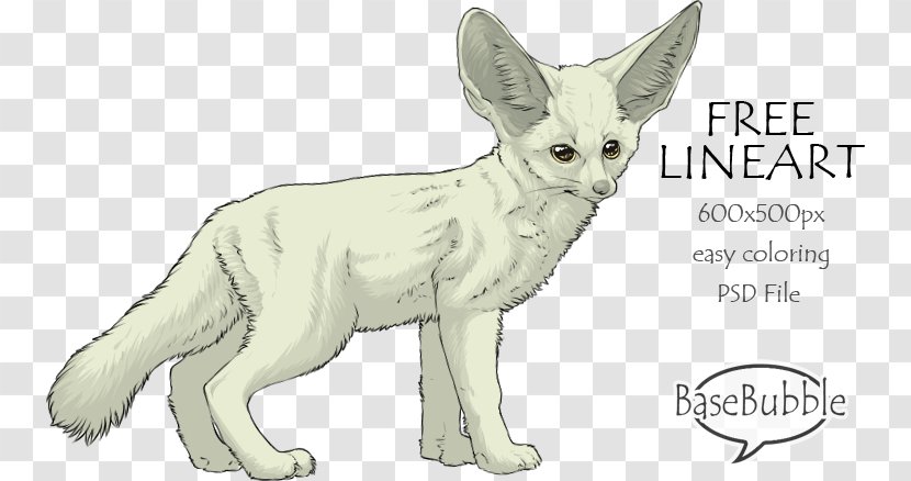 Red Fox Line Art - Hare - Fennec Transparent PNG
