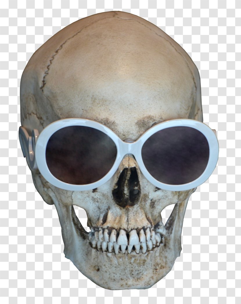 Skull Clip Art - Frontal Bone - Free Download Transparent PNG