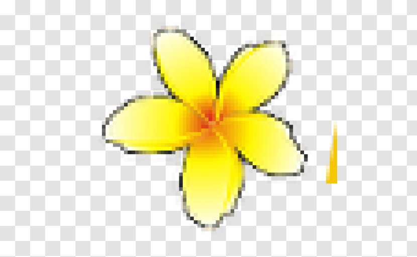 Insect Cut Flowers Symbol Petal - Flowering Plant Transparent PNG