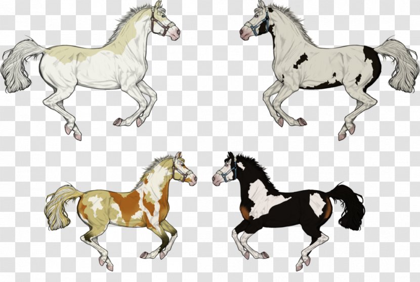 Mustang Foal Stallion Colt Pony - Animal Figure Transparent PNG