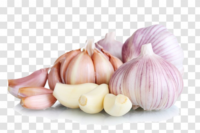 Garlic Food Eating Vegetable - Allium Transparent PNG