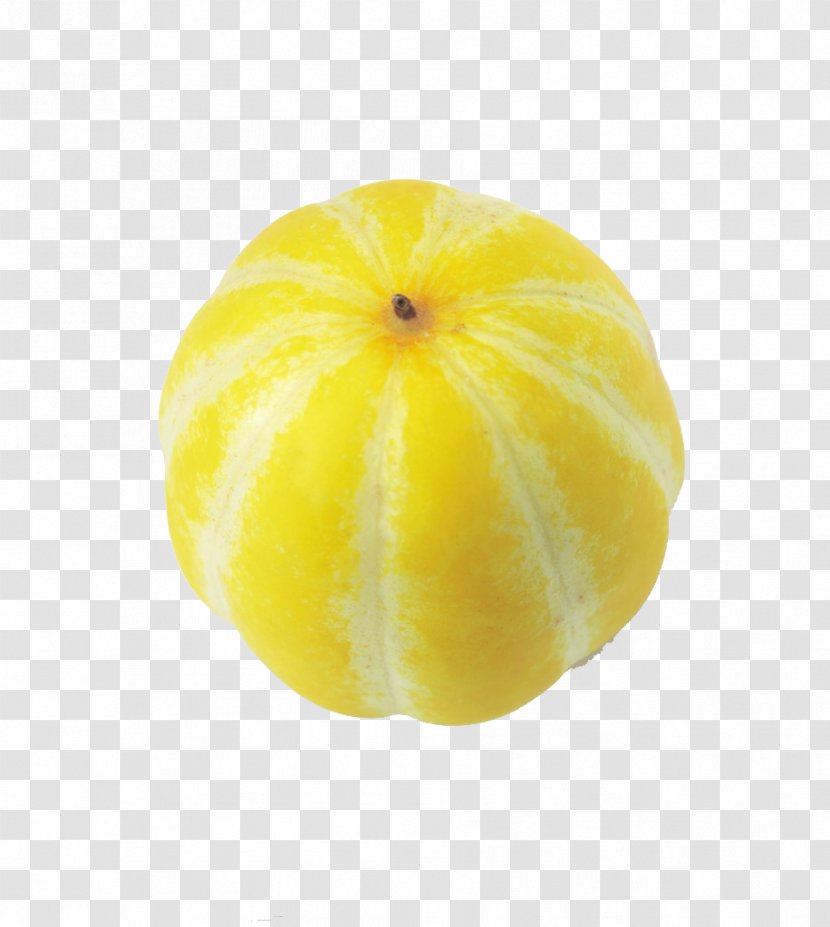 Citron Lemon Citrus Junos Grapefruit Vegetarian Cuisine - Shampoo Photography Transparent PNG