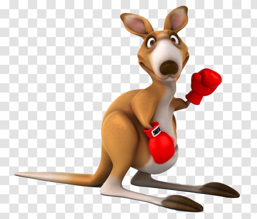 Red Kangaroo Tree-kangaroo Boxing - Cuteness - Wearing Gloves Transparent PNG