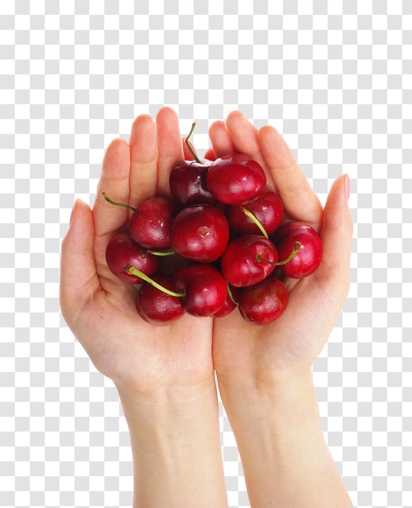 Cherry Frutti Di Bosco Food - Vitamin Transparent PNG