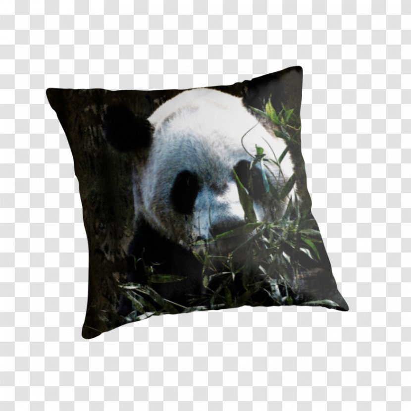 Giant Panda Bear Throw Pillows IPod Touch Cushion - Zazzle Transparent PNG