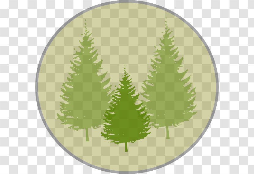 Pine Tree Fir Clip Art - Silhouette - Leaves Transparent PNG
