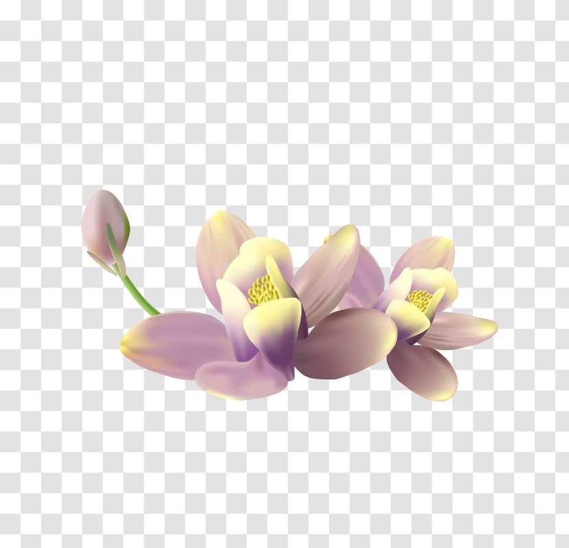 Petal Flower Clip Art - Preview - Lotus Transparent PNG