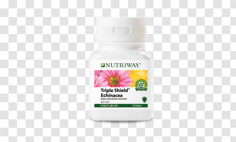 Amway Singapore Dietary Supplement Nutrilite Coneflower Transparent PNG
