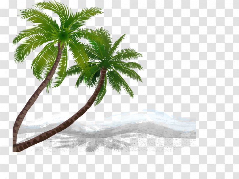 Beach Coconut - Vector Trees Transparent PNG