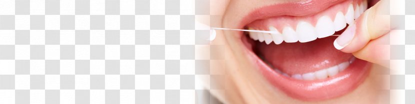 Dentistry Gingivitis Tooth Mouth - Cartoon - Health Transparent PNG