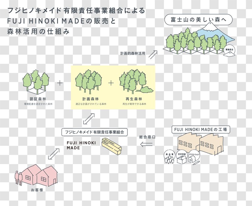 Brand Diagram Pattern - Plant - Design Transparent PNG