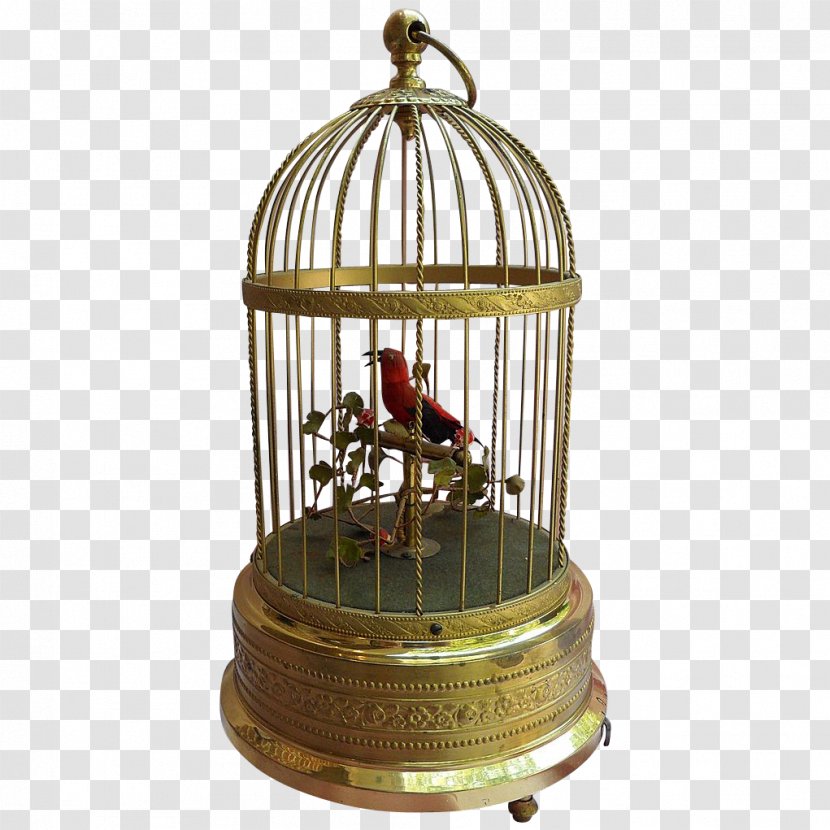 Bird Domestic Canary Cage Parrot 1900s - Cartoon Transparent PNG