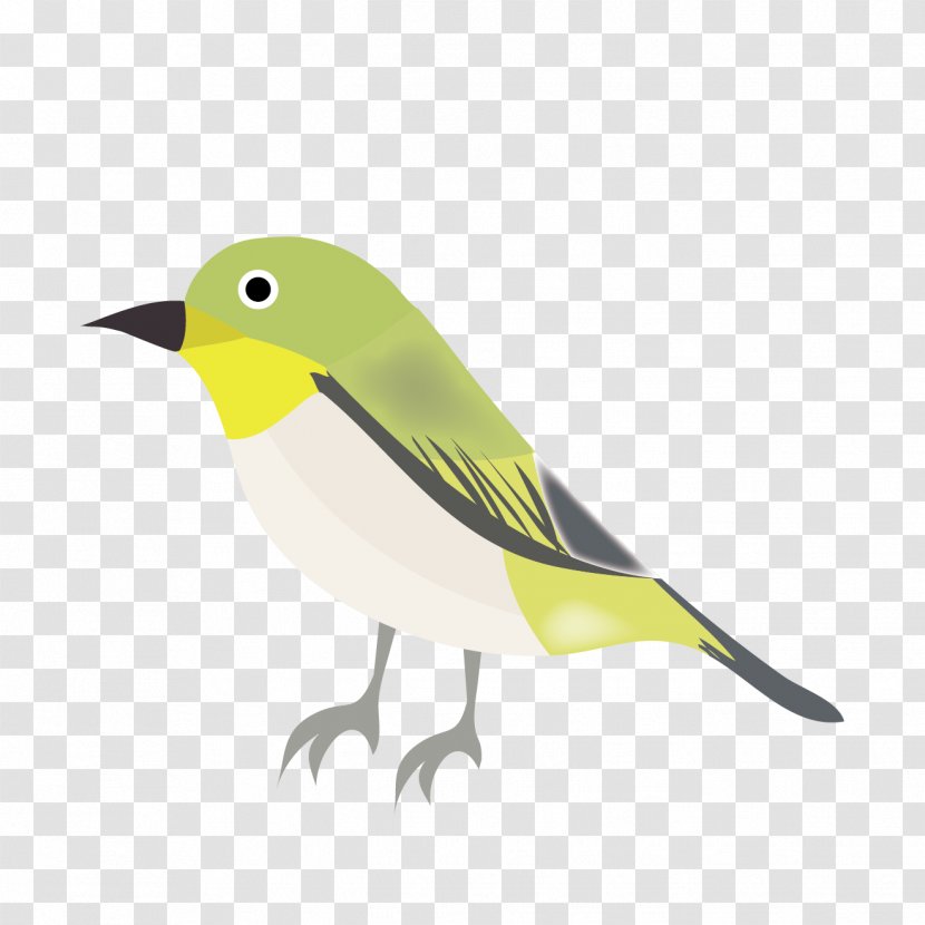 Japanese White-eye Bird Illustration Old World Orioles Design - Perching Transparent PNG