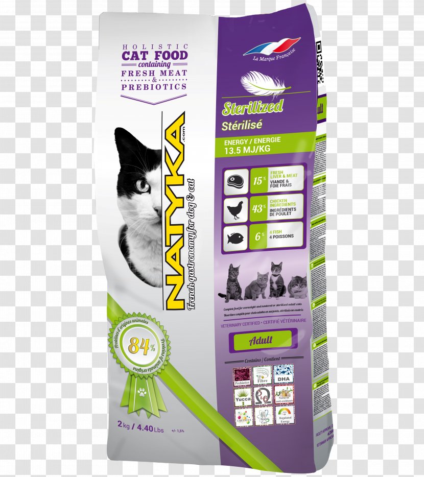 Cat Natyka (Natick) Fodder Hairball Dog Transparent PNG