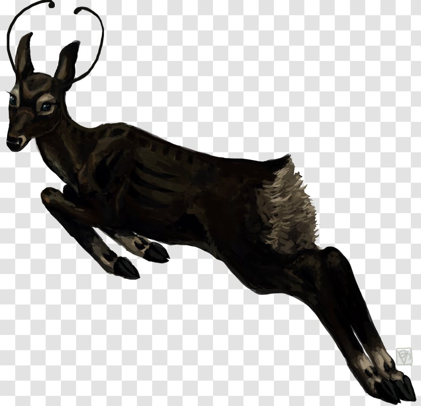 Antelope Chamois Cattle Reindeer Goat - Sika Deer Transparent PNG