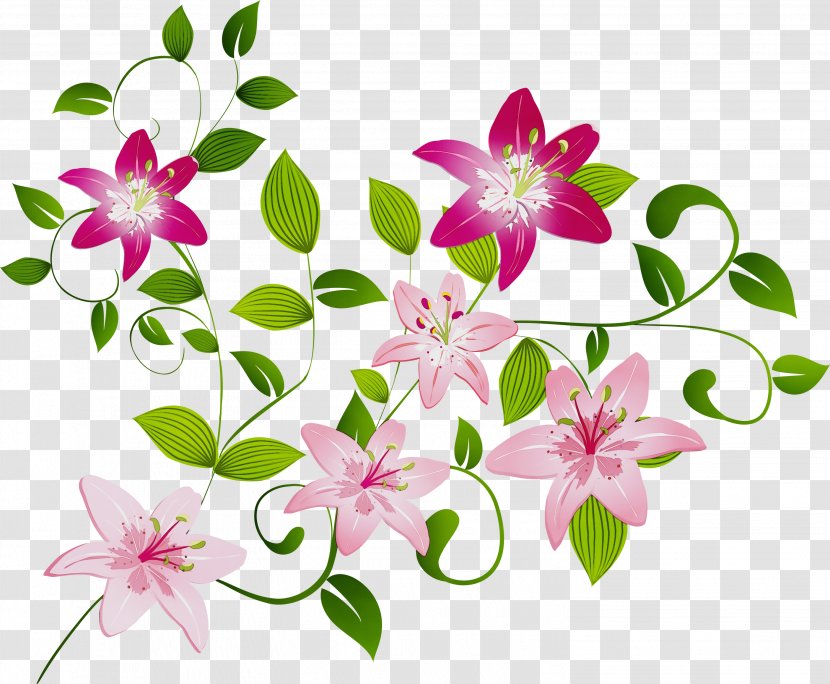 Watercolor Pink Flowers - Botany - Wildflower Pedicel Transparent PNG