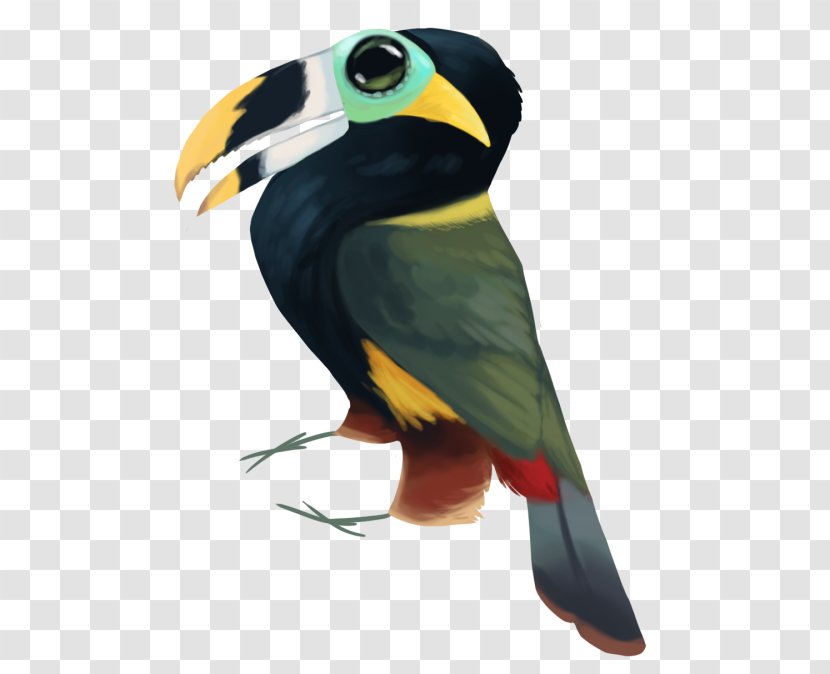 Toucan Beak Fauna Macaw - Moist Transparent PNG