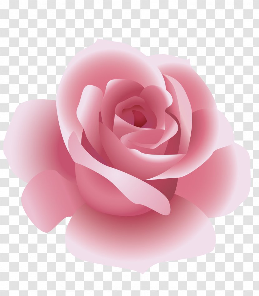 Rosxe9 Rose - Petal - Pink Transparent PNG