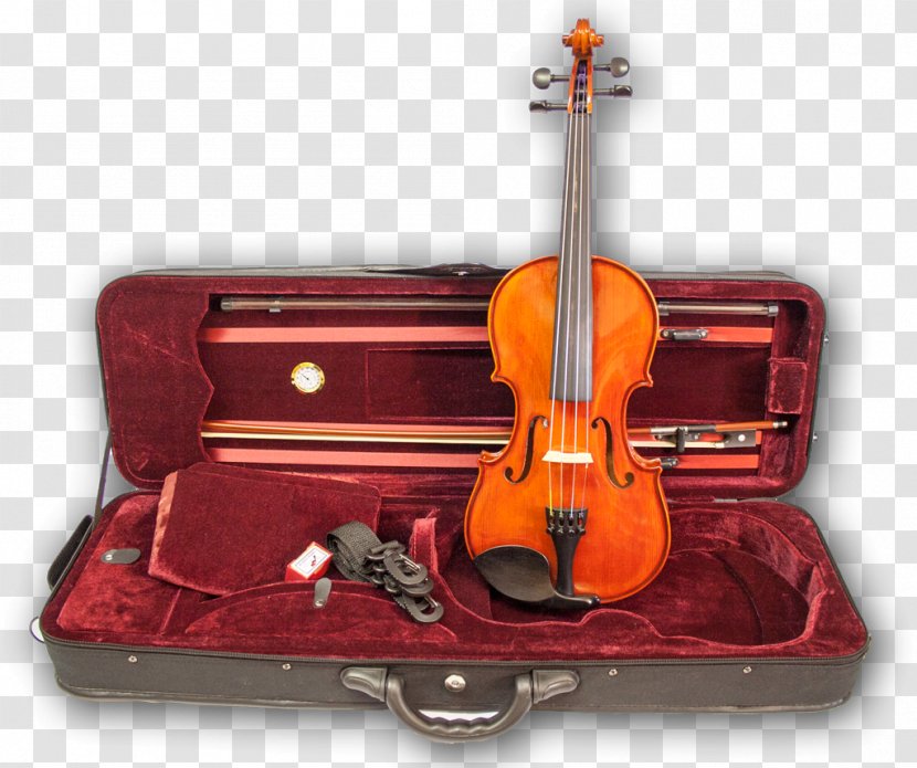 Bass Violin Violone Viola Cello - Musical Instrument Transparent PNG