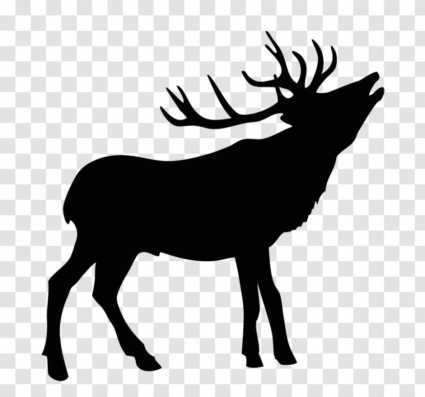 Elk Estate - Royaltyfree - Inverloch Holiday Accomodation Moose DeerDeer Antler Transparent PNG